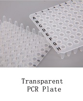 Bioplastics Transparent And White 96 Well 0.2ml Semi-Skirted PCR Plate For Laboratory