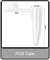 Wholesale High Quality Laboratory Consumables PP Material 96 PCR Deep Well Plate