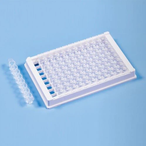 PCR Plate in China
