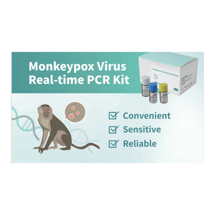 buy Antigen Rapid Test